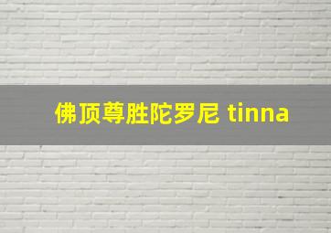 佛顶尊胜陀罗尼 tinna